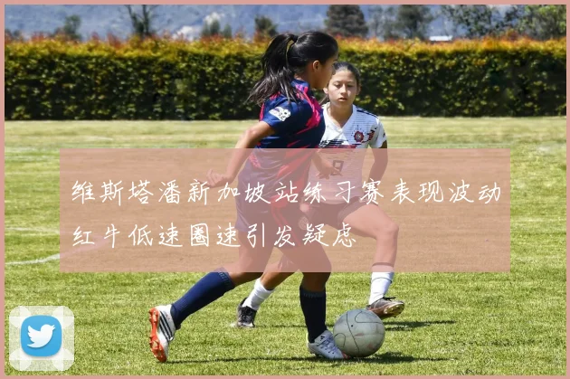 维斯塔潘新加坡站练习赛表现波动红牛低速圈速引发疑虑