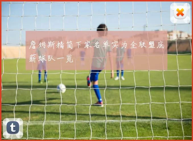 詹姆斯精简下家名单实为全联盟底薪球队一览